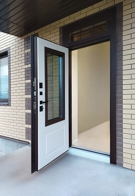 Стальная дверь с остеклением